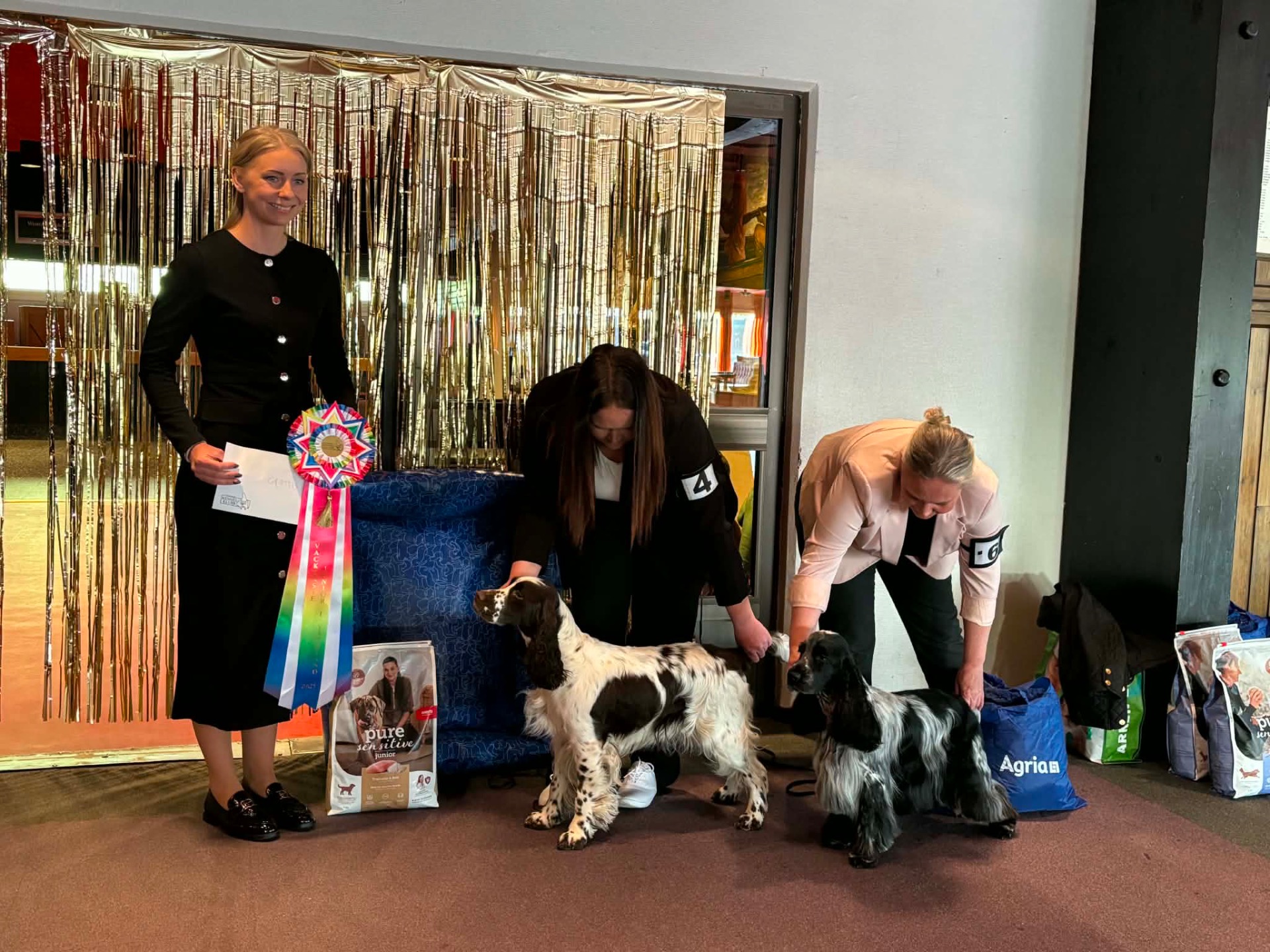 RLD N MoonCharm’s Moonlight Shadow ”Millie” Värmlands Vackraste Junior✨